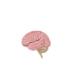 Physiolibrary.Icons.Brain