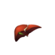 Physiolibrary.Icons.Liver