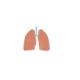 Physiolibrary.Icons.Lungs