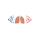 Physiolibrary.Icons.PulmonaryCirculation