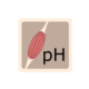 Physiolibrary.Icons.SkeletalMuscleAcidity