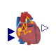 Physiolibrary.Organs.Heart.Components.SA_Node