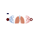 Physiolibrary.Organs.Lungs.Components.PulmonaryCirculation
