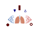 Physiolibrary.Organs.Lungs.Components.RespiratoryUnit